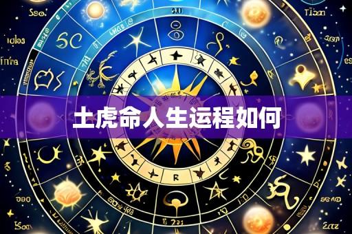 土虎命人生运程如何