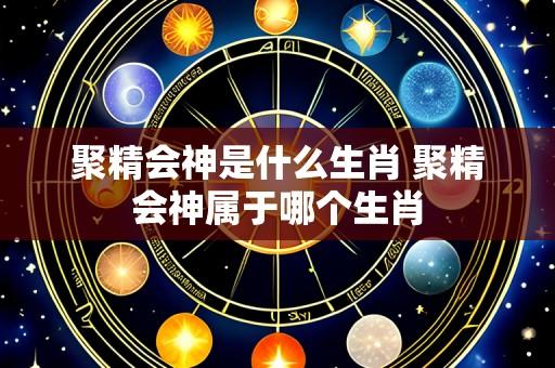 聚精会神是什么生肖 聚精会神属于哪个生肖