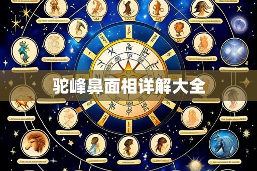 驼峰鼻面相详解大全
