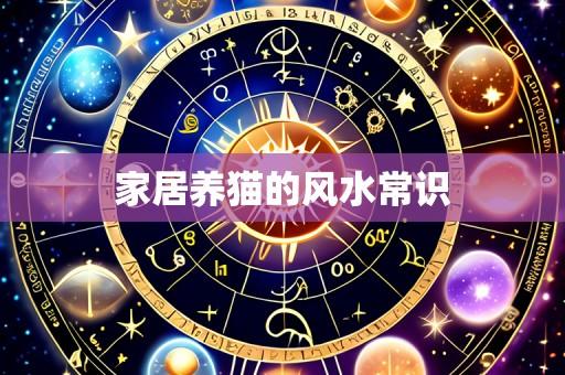 家居养猫的风水常识