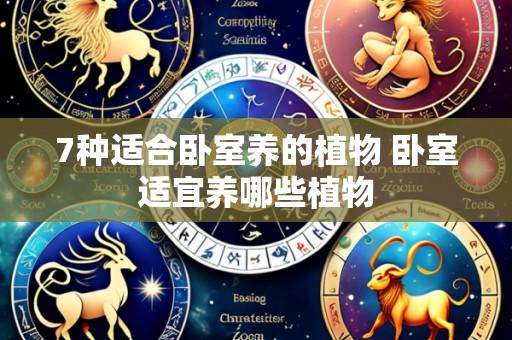 7种适合卧室养的植物 卧室适宜养哪些植物