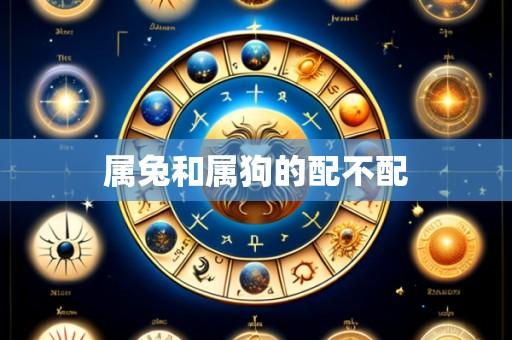 属兔和属狗的配不配