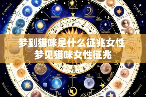 梦到猫咪是什么征兆女性 梦见猫咪女性征兆