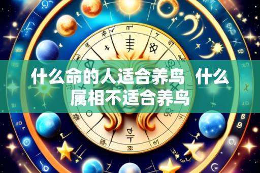 什么命的人适合养鸟 什么属相不适合养鸟