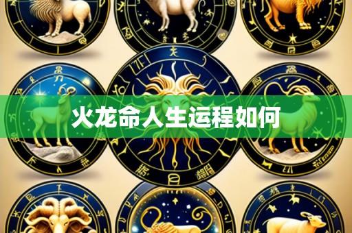 火龙命人生运程如何