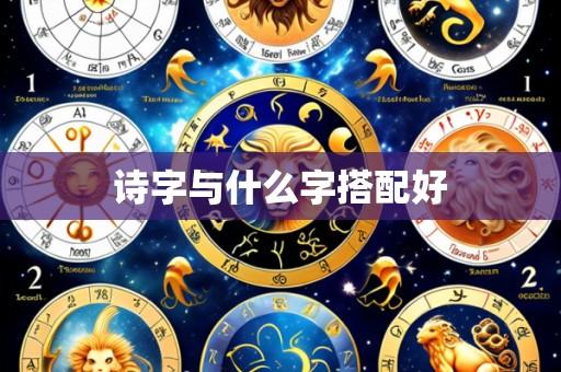 诗字与什么字搭配好
