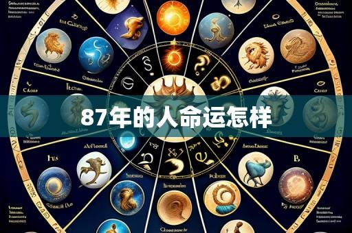 87年的人命运怎样