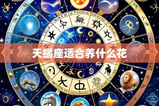 天蝎座适合养什么花