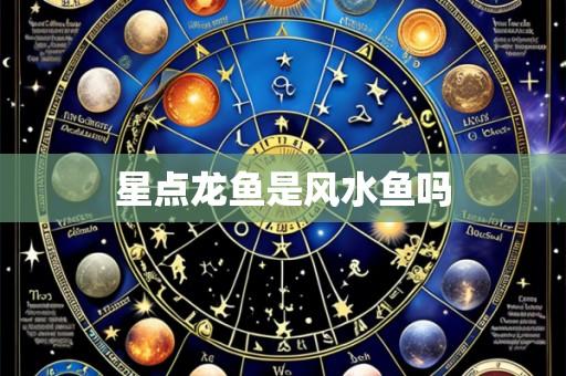 星点龙鱼是风水鱼吗