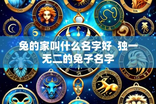 兔的家叫什么名字好 独一无二的兔子名字