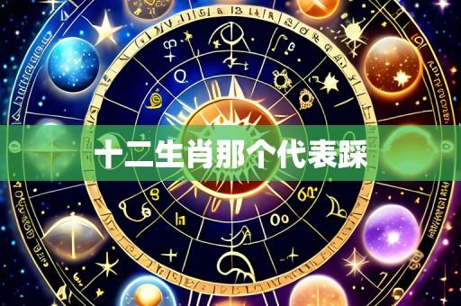 十二生肖那个代表踩