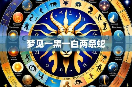 梦见一黑一白两条蛇