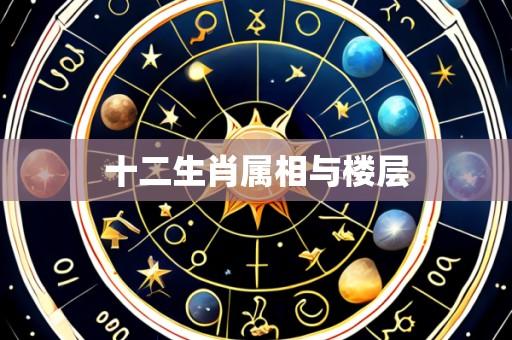 十二生肖属相与楼层