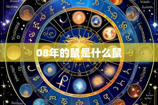 08年的鼠是什么鼠