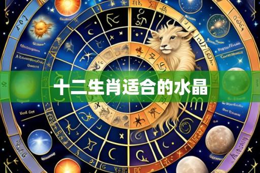 十二生肖适合的水晶