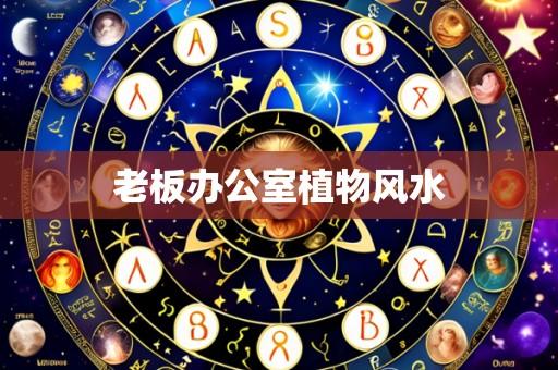 老板办公室植物风水