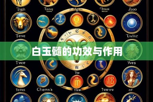 白玉髓的功效与作用