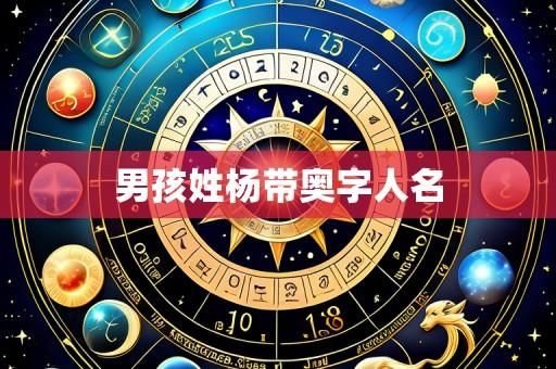 男孩姓杨带奥字人名