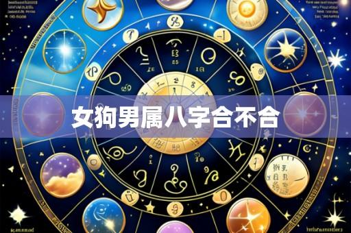 女狗男属八字合不合