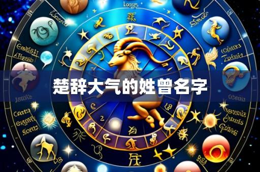 楚辞大气的姓曾名字