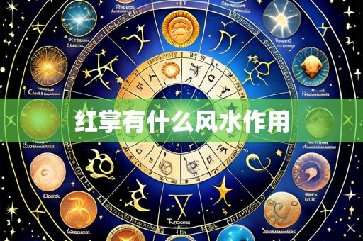 红掌有什么风水作用