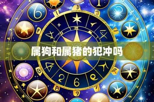 属狗和属猪的犯冲吗