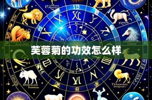芙蓉菊的功效怎么样