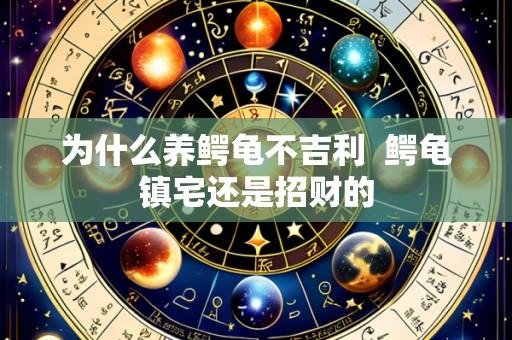 为什么养鳄龟不吉利 鳄龟镇宅还是招财的