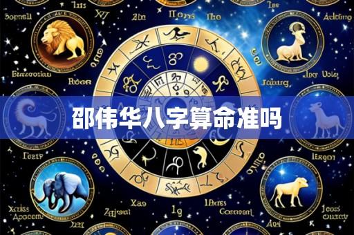 邵伟华八字算命准吗