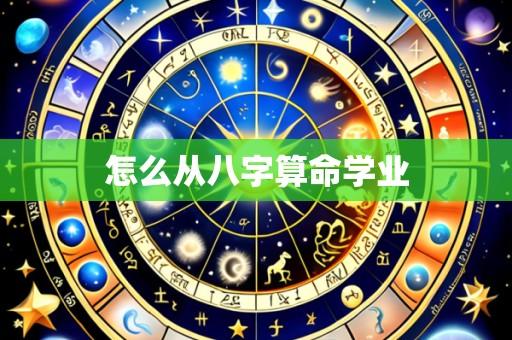 怎么从八字算命学业