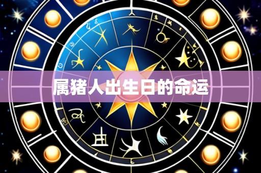 属猪人出生日的命运