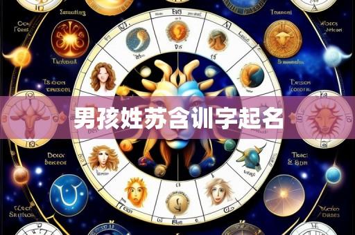 男孩姓苏含训字起名
