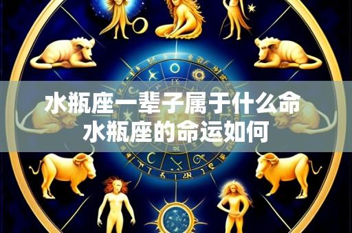 水瓶座一辈子属于什么命 水瓶座的命运如何
