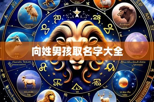向姓男孩取名字大全