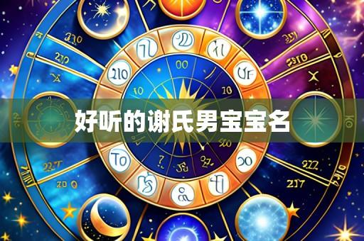 好听的谢氏男宝宝名