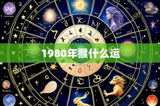 1980年猴什么运
