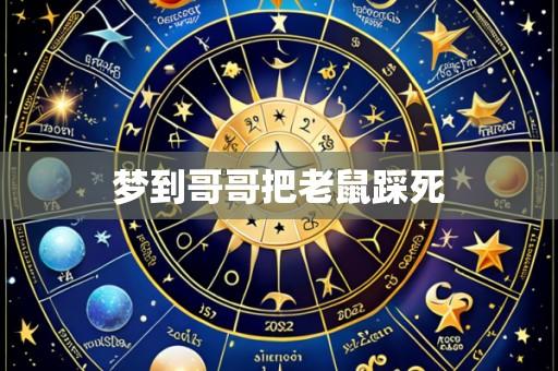 梦到哥哥把老鼠踩死