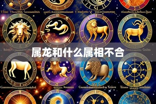 属龙和什么属相不合