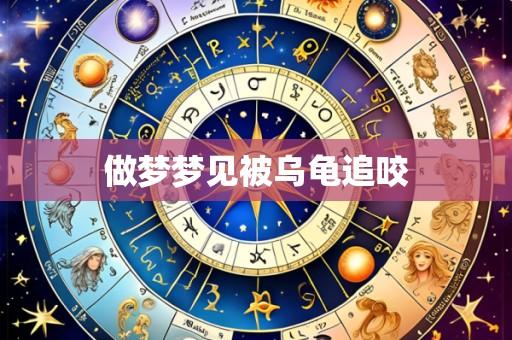 做梦梦见被乌龟追咬