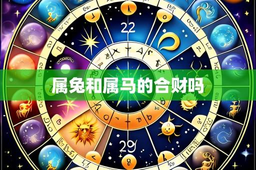 属兔和属马的合财吗