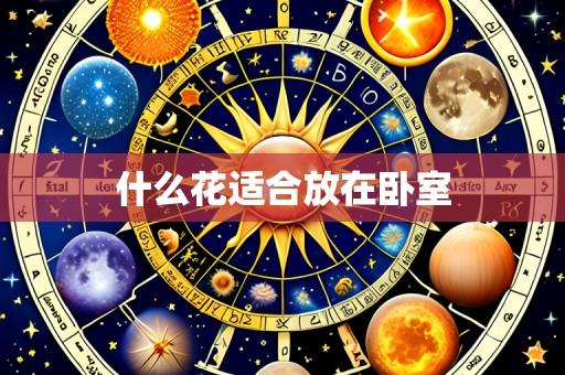 什么花适合放在卧室
