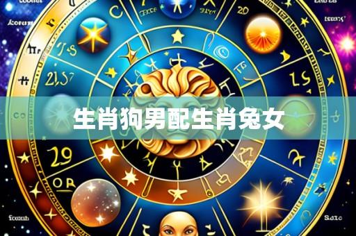 生肖狗男配生肖兔女