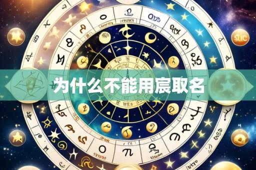 为什么不能用宸取名