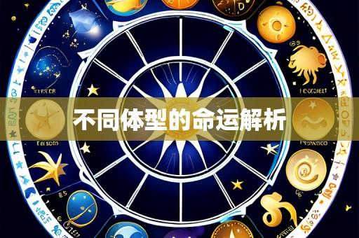 不同体型的命运解析