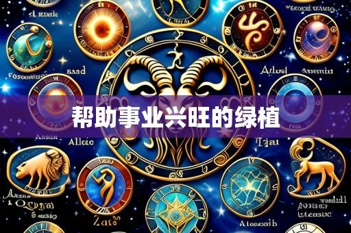 帮助事业兴旺的绿植