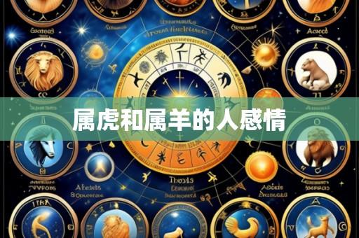 属虎和属羊的人感情