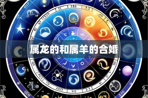 属龙的和属羊的合婚