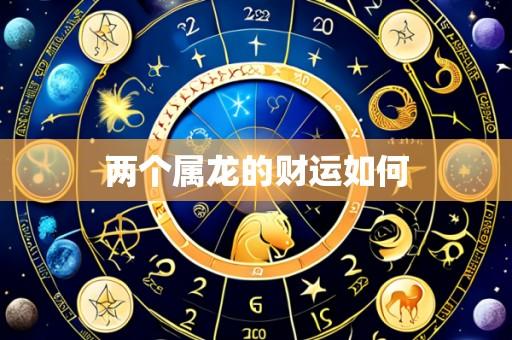 两个属龙的财运如何