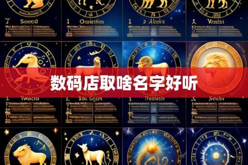 数码店取啥名字好听