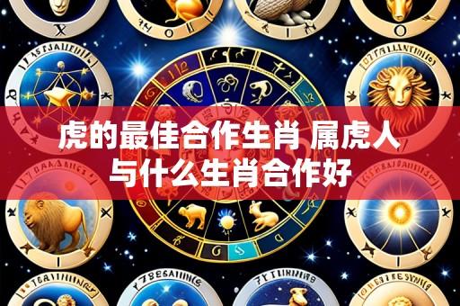 虎的最佳合作生肖 属虎人与什么生肖合作好